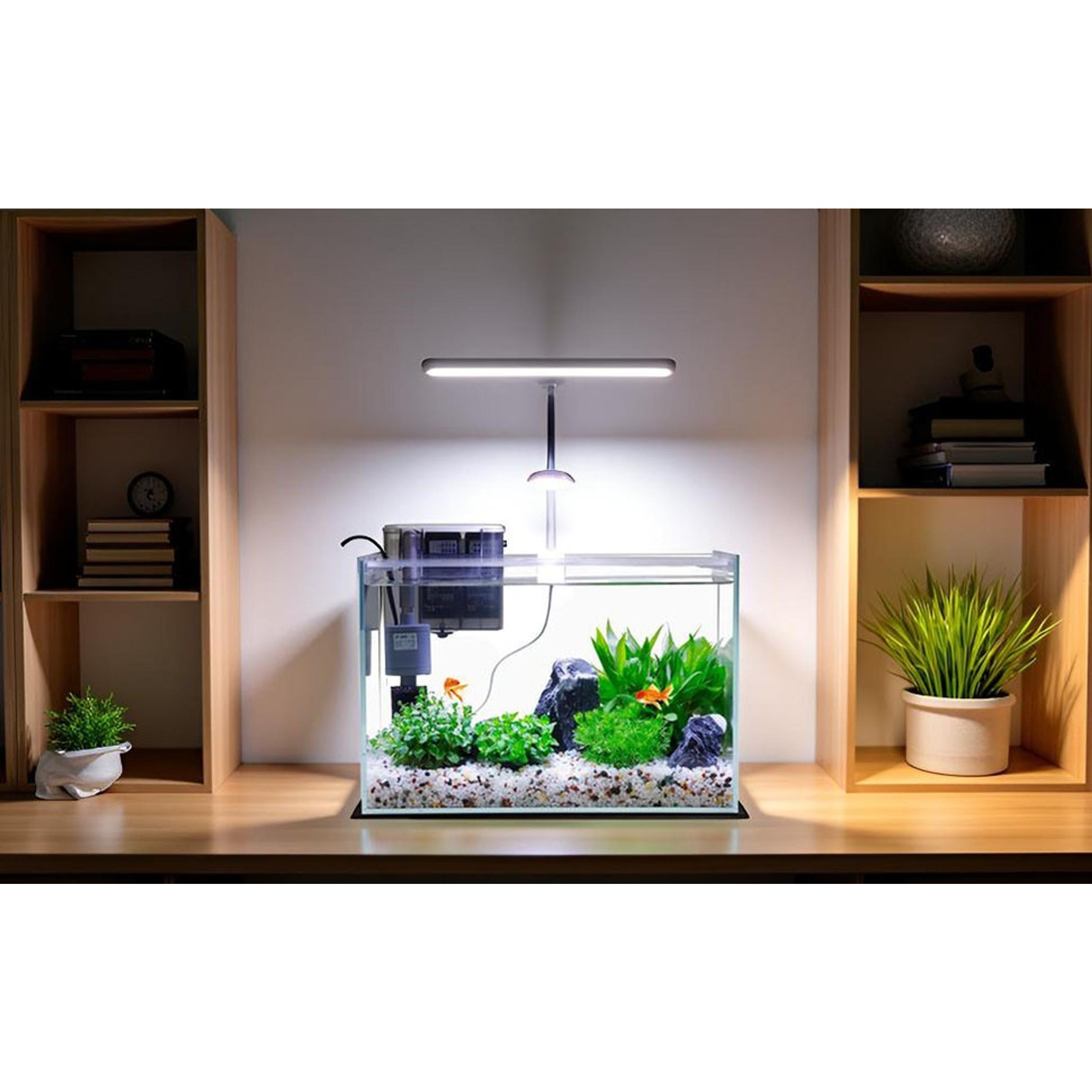 3 Gallon Glass Small Fish Tank, Betta Fish Tank Starter Kit with Filter, Lights,Lid.