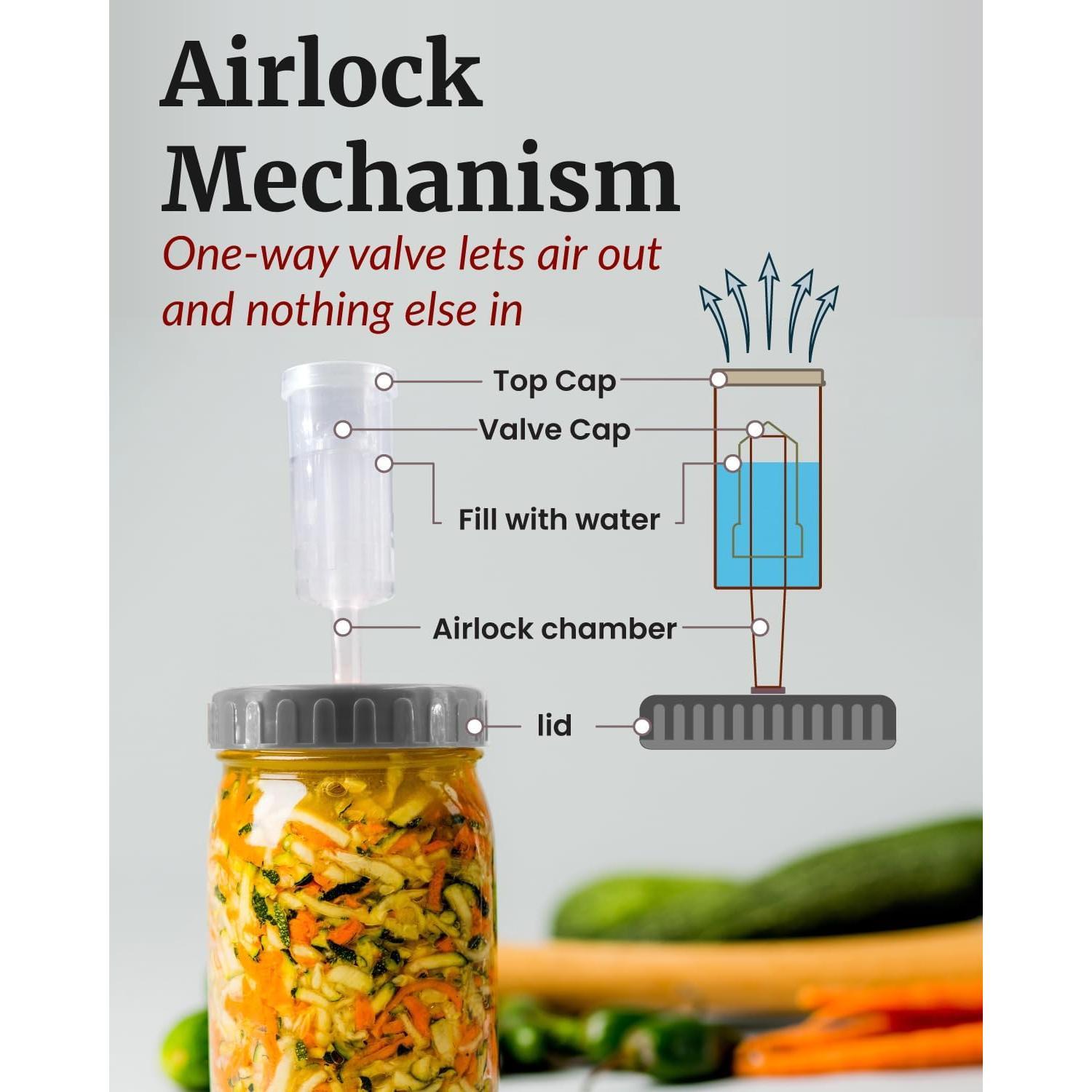 Mason Jar Fermentation  - Easy to Use Fermenting  for Wide Mouth Mason Jars - Make Delicious Sauerkraut & Kimchi, Airlocks Fermentation Kit, Burping Air Lock Fermenters - Set of 2