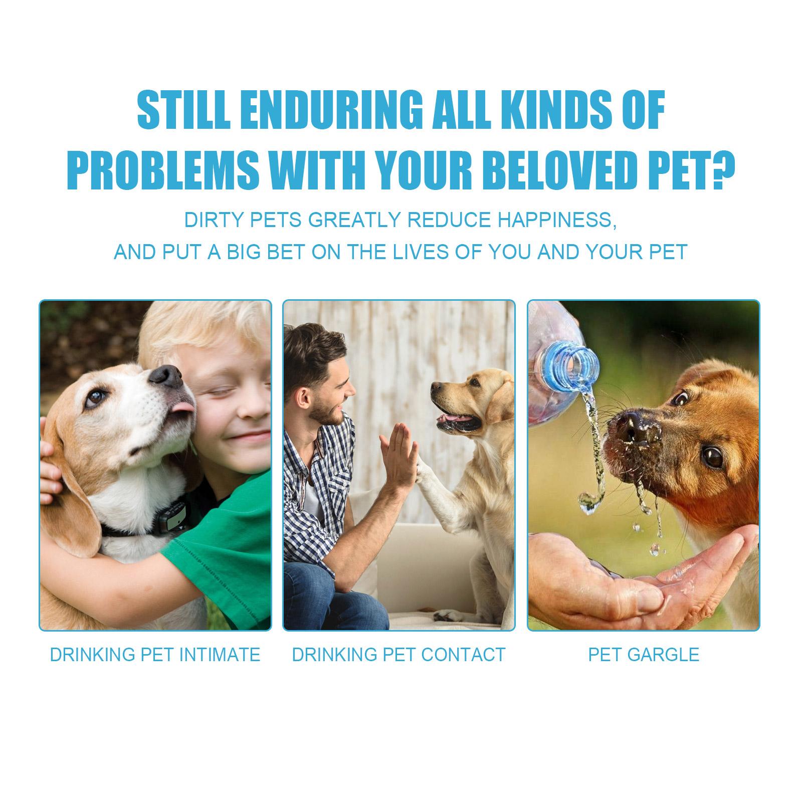 Edible Pet Toothpaste for Cats & Dogs, Daily Teeth Cleaning Oral Care Gel, Freshens Breath & Cleans Surface Stains