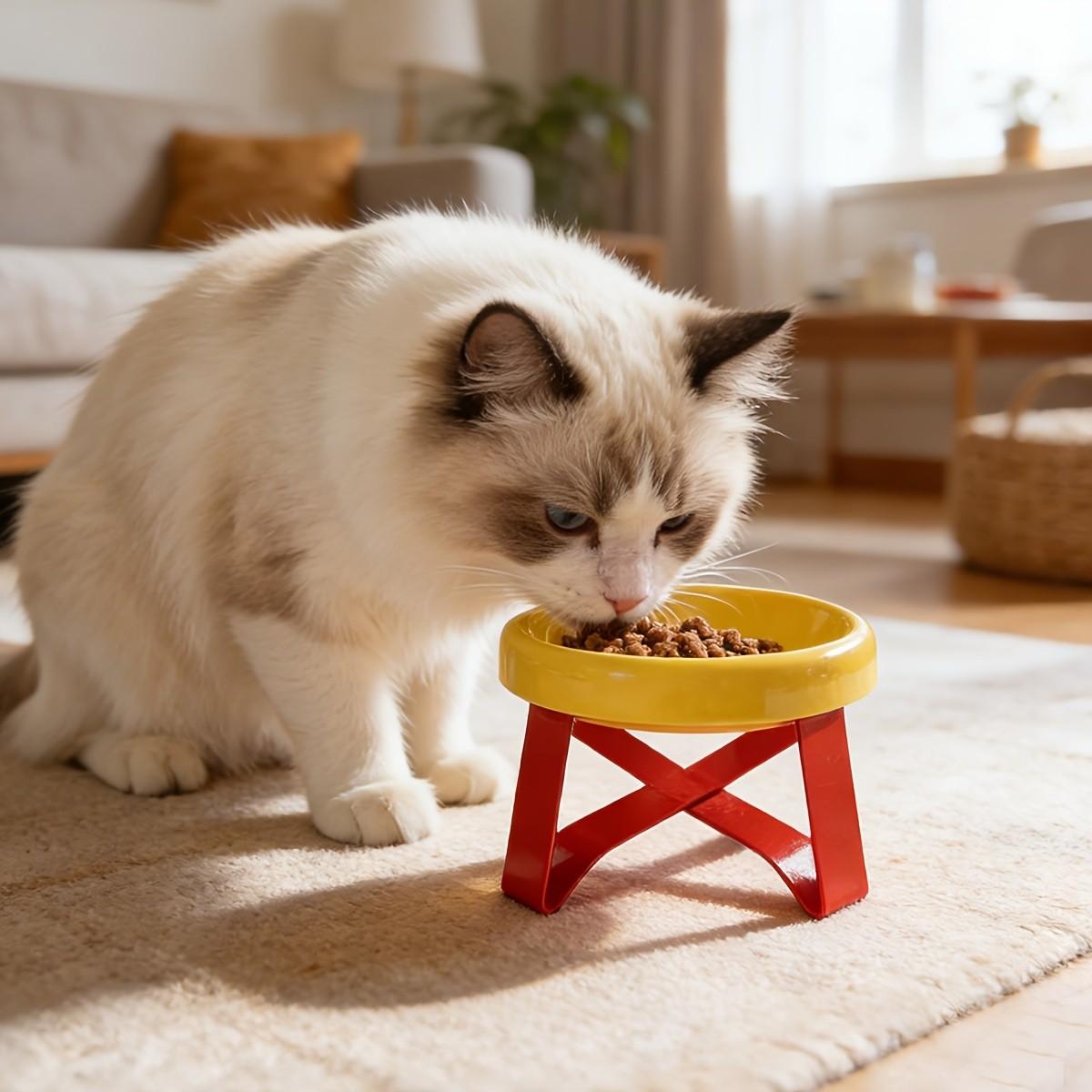 Stylish 15-Tilt Anti-Spill Elevated Pet Food Bowl, High Leg Cat Feeding Bowl, Non-Slip Wide Base, Durable Plastic, Suitable for Cats and Small Dogs
