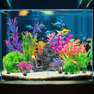 Exquisite Aquarium