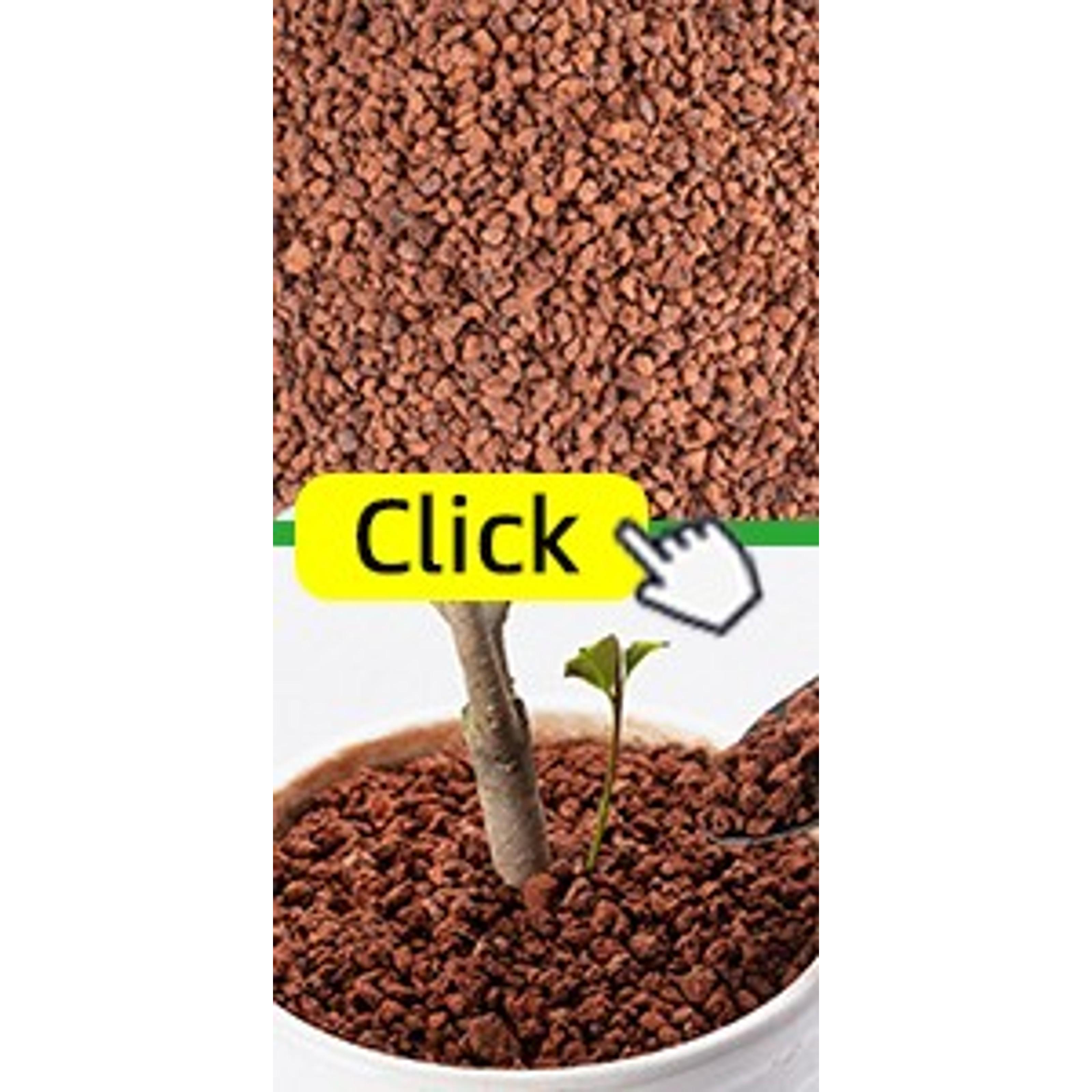 6-Pack Premium Organic Coco Coir Bricks - 100% Natural Coconut Husk Fiber, Planting & Gardening Potting Soil Substrate, Outdoor Garden Decor, Brick Pack 6-Pack Premium Organic Coco Coir Bricks - 100% Natural Coconut Husk Fiber, Planting & Gardening Potting Soil Substrate, Outdoor Garden Decor, Brick Pack