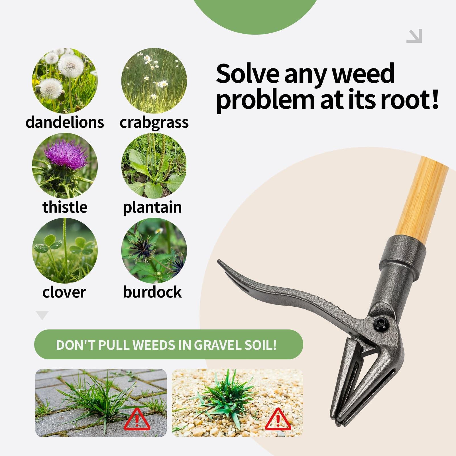 LIVOPRO New Stand-Up Weeding Tool with 4-Claw Steel Head & Long Handle, Manual Weed Puller Removes Weeds & Roots, No Bending or Kneeling Required for Garden, Lawn & Outdoor Use