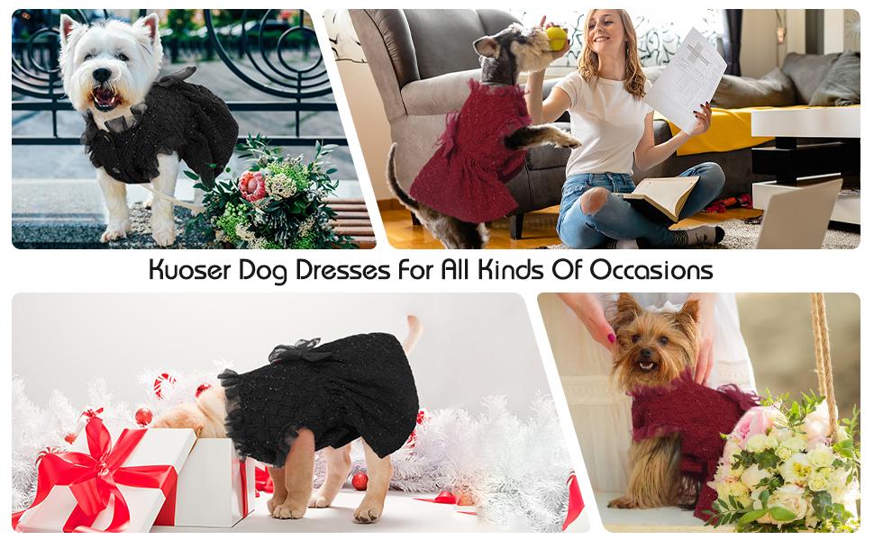 Kuoser Dog Dress, Dog Dresses for Large Dogs Girl, Cute Puppy Dress with Bow-Knot Girl Princess Dog Tutu Dress Costume Pet Outfit Cat Clothes for Birthday Party Christmas Wedding Kuoser Dog Dress, Dog Dresses for Large Dogs Girl, Cute Puppy Dress with Bow-Knot Girl Princess Dog Tutu Dress Costume Pet Outfit Cat Clothes for Birthday Party Christmas Wedding