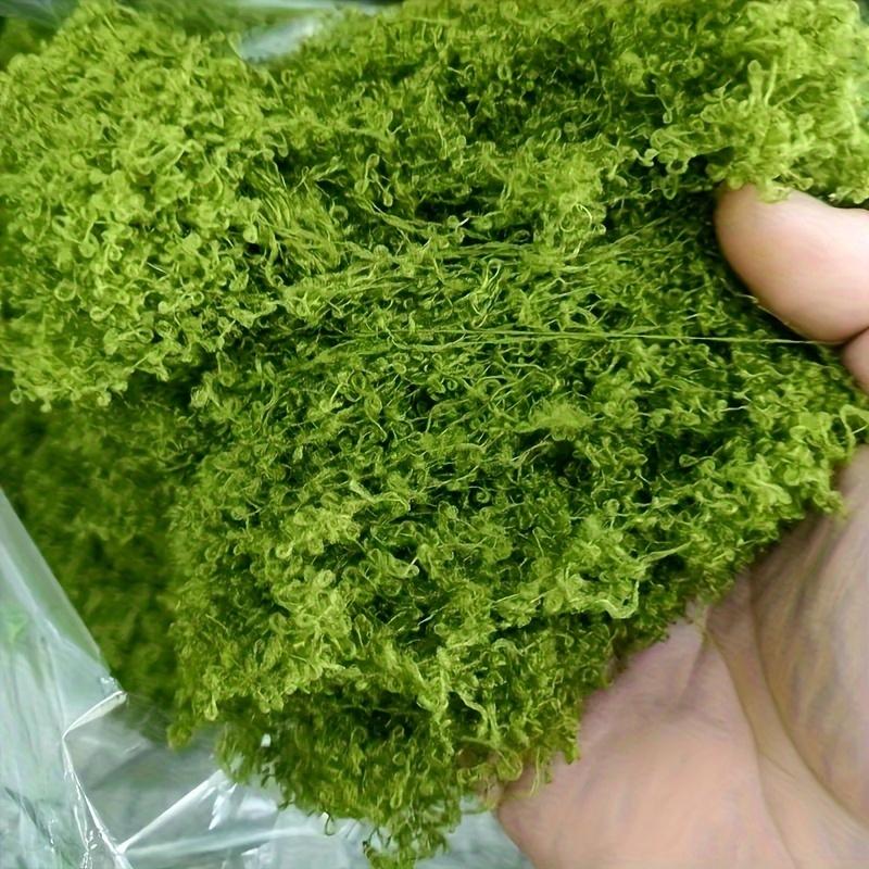 Preserved Sheet Moss, Natural Green Decorative Moss for Plant Walls, Terrariums, Home Decor & Crafts, Long-Lasting No-Water Artificial Moss
