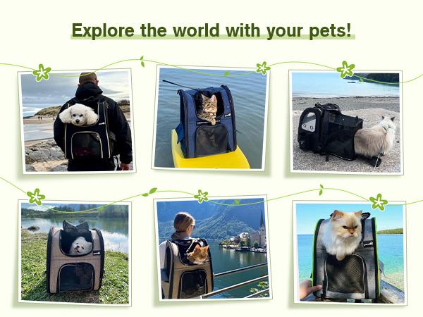 Pecute Expandable Cat Backpack with Breathable Mesh for Cats Small Dogs Puppies