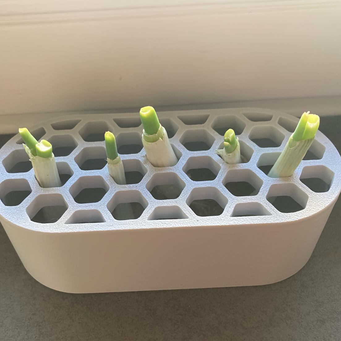 1 Set Green Onion Regeneration Kit - Hydroponic System Suitable for Balcony, Windowsill & Small Space, Quick Grow for Onions at Home, Compact Rapid Regeneration System for Urban Cultivation (No Skills Required)