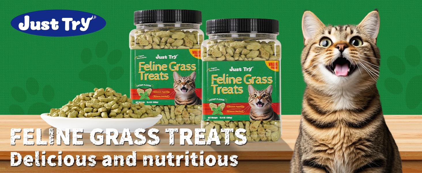 Just Try Cat Treats, Cat Grass Treats, Natural Salmon Flavor Healthy Cat Snacks, Training Biscuits Treats for Cats, Catnip for Cats, Crunchy Fish Shape Adult Cat Snacks, 13.4 oz