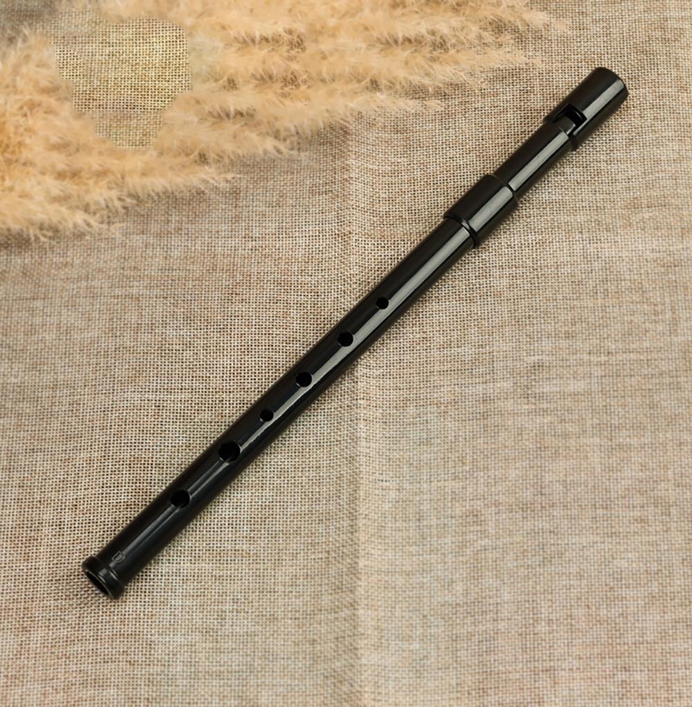 Schwinger 6 Hole Recorder Key D Resin, Portable Non-Toxic Flute Recorder for Beginners, Ideal for Kids Music Learning