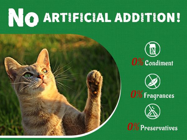 JUST TRY 4PCS 13.4 OZ Cat Grass Treats Natural Salmon Flavor Healthy Cat Snacks Training Biscuits Catnip for Cats Dental and Hairball Control Treats Remedy Chews