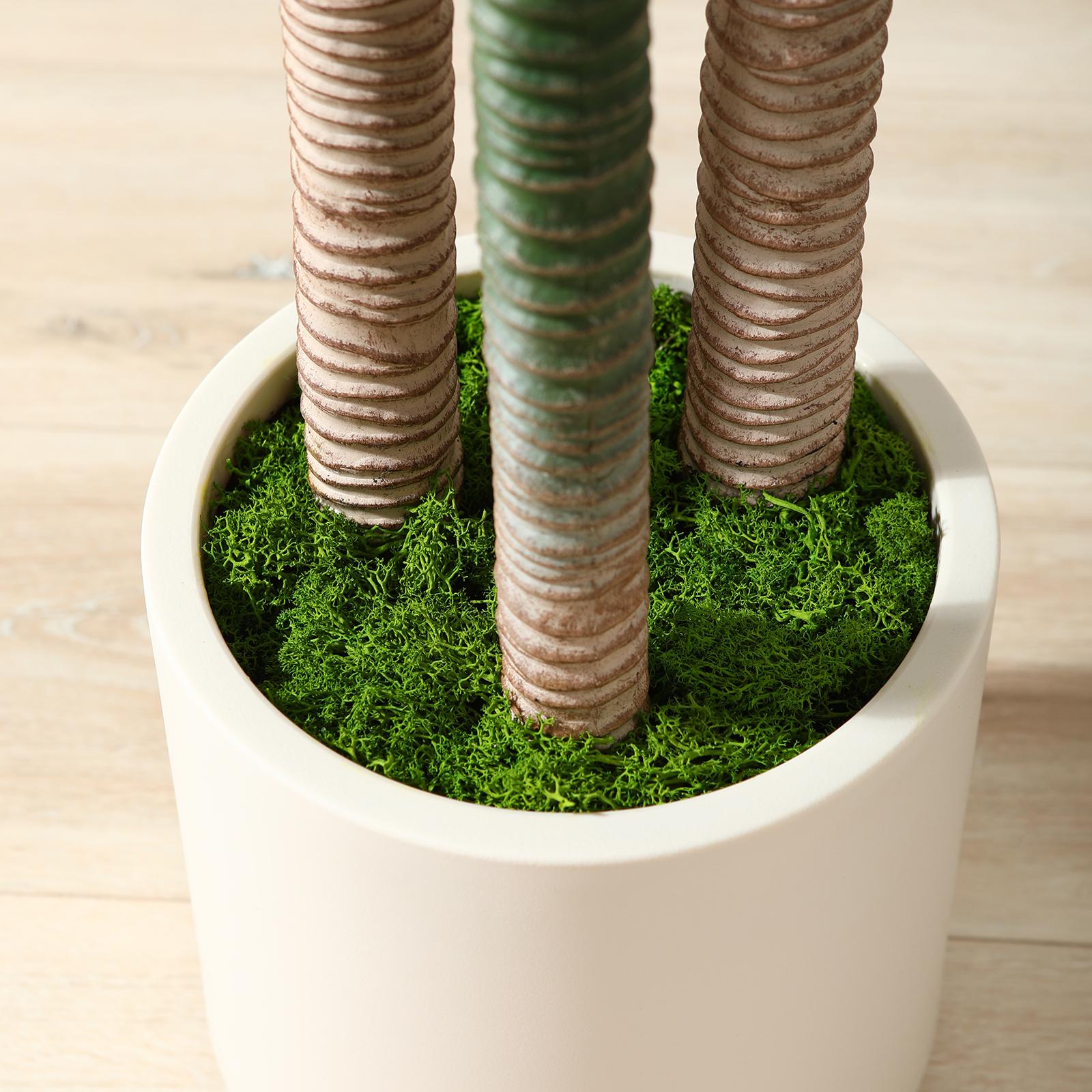 VeriNatural 5/6FT High-End Fashion, Insect and Mildew Proof, Eco-Friendly Artificial Palm Tree