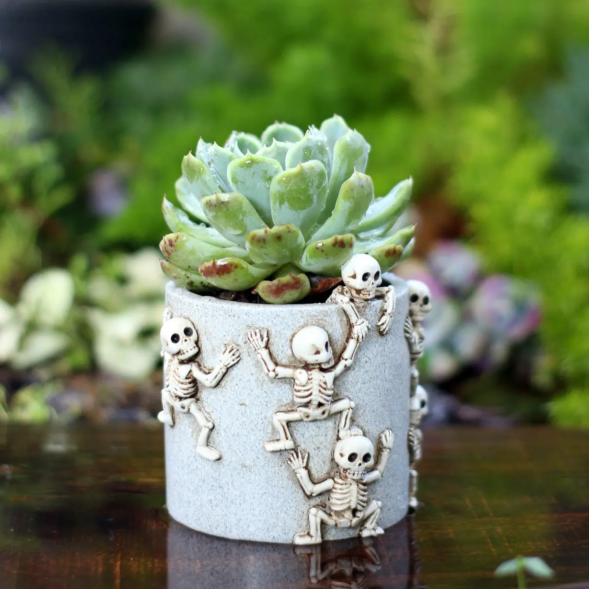 Gothic Resin Skull Planter with Drainage Holes, Unique Halloween Garden Decor, Elegant Office Desk Plant Container, Party Birthday Gift