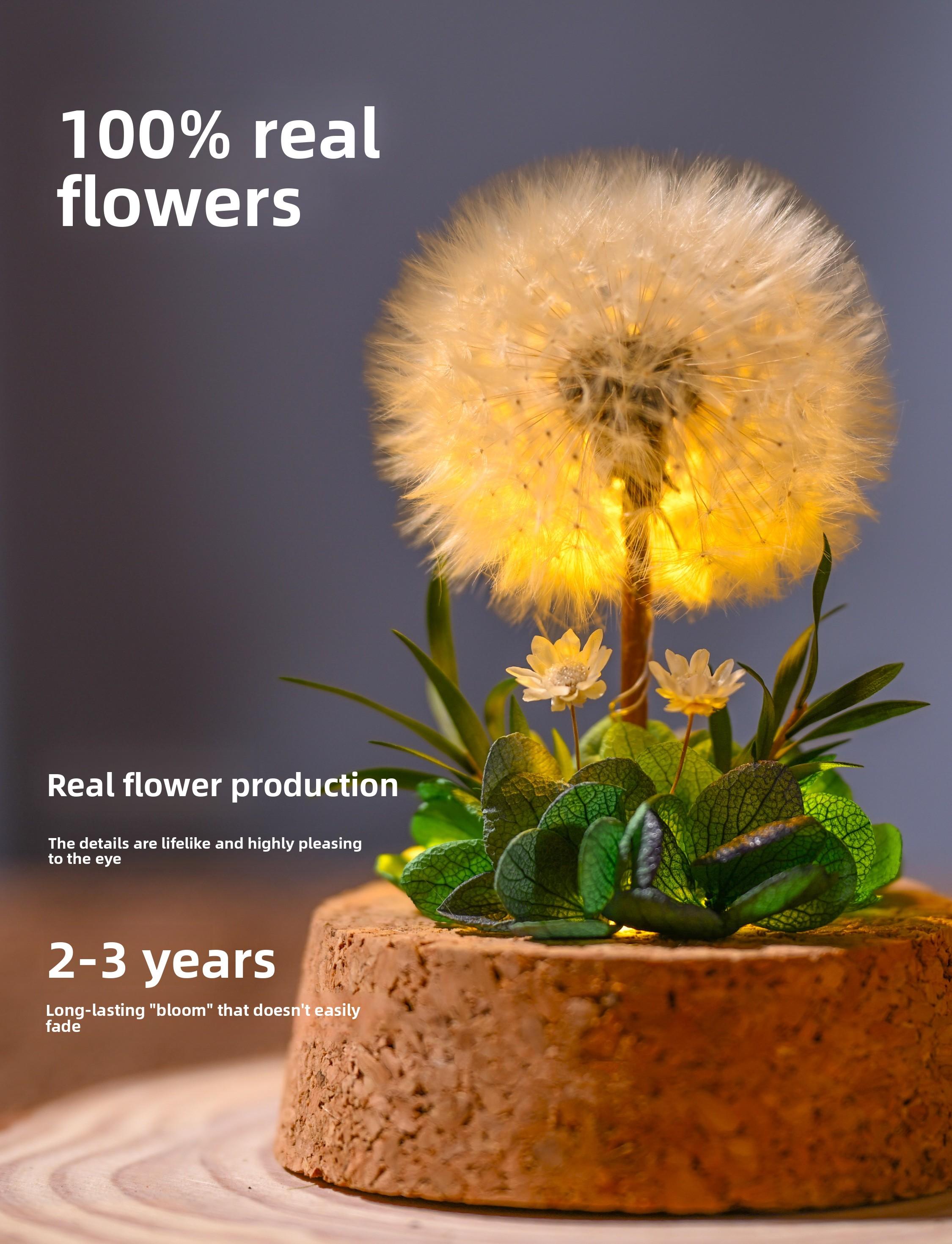 Light Up Dandelion in Glass Dome,Birthday Gifts,Flower Gifts for Women Girlfriends Wives Mothers Daughters Sons,Desk Decor Valentine's Day Mother's Day Christmas Thanksgiving Day,Yellow Leaf