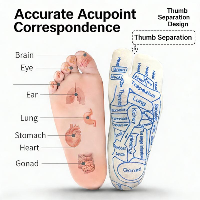 2-Piece Acupressure Foot Socks & Massage Stick Set: Foot Massage Socks with Acupressure Points Guide | Foot Reflexology Socks for Stress & Fatigue Relief