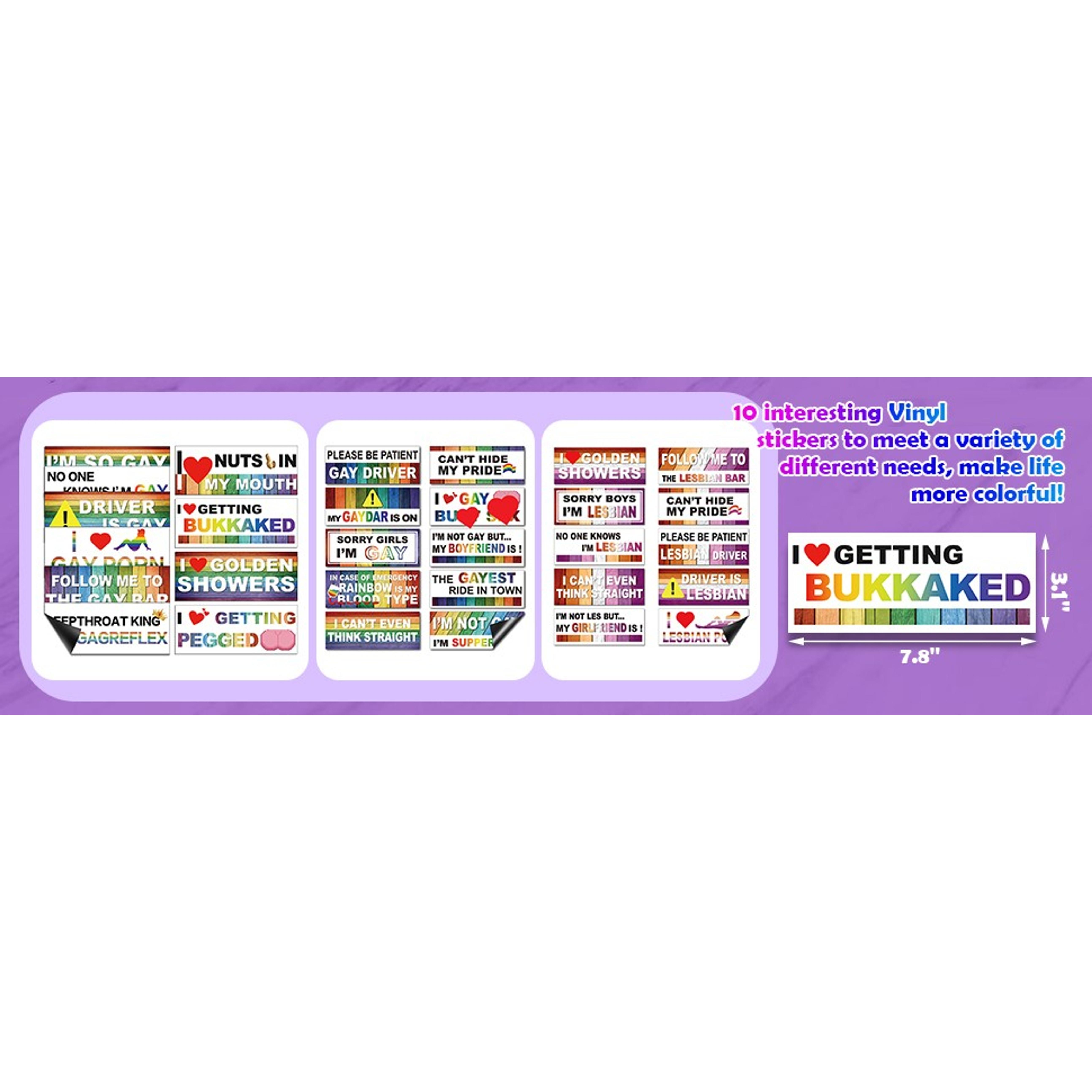 10 Pcs Funny LGBT Rainbow Bumper Decals Stickers Colorful Prank Car Stickers Magnetic Car Accessories for Truck Vehicle Luggage Window Refrigerator Stylish StyleGift