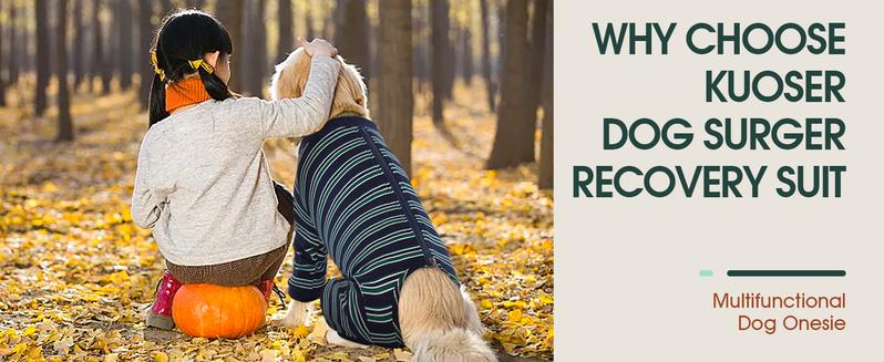 Kuoser Dog Surgery Suit Female Spay, Soft Dog Pajamas, Long Sleeve Dog Recovery Suit, Dog Clothes Onesie for Surgery, Pet Neuter Spay Bodysuit Apparel with Zipper, E-Collar & Cone Alternative, fuddle wuddle patch puppy