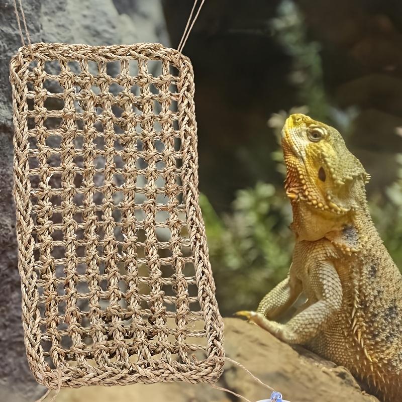 Bearded dragon hammock lizard reptile mountain climbing lounge chair seaweed fiber habitat tank accessories jungle toys suitable for hermit crab gecko snake iguana amphibians.