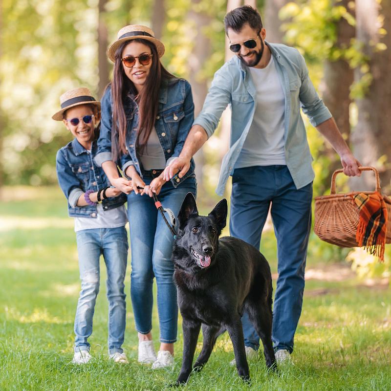 Pawaboo Hands Free Dog Rope Leash, Adjustable Waist , Crossbody Rope with Explosion-Proof Handle, Lockable Metal Clip,(66.87'' x 0.39'' x 0.39'')