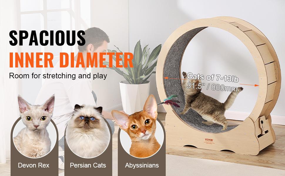 Summervibes VEVOR Cat Exercise Wheel, Large Cat Treadmill Wheel for Indoor Cats, 35.8 inch Cat Running Wheel with Detachable Carpet and Cat Teaser for Running/Walking/Training, Suitable for Most Cats