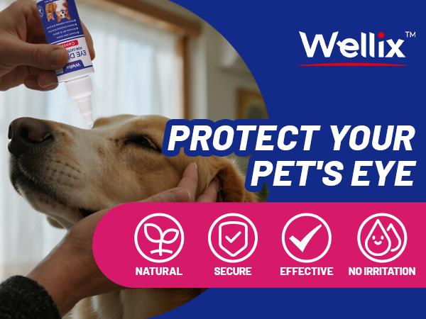 Wellix PET Dog Eye Drops, Eye Drops for Dogs&Cats, Dog Eye Infection Treatment to Soothe Eye Allergy, Soothe Dry Eyes Pink Eyes, Dog Tear Stain Cleaner-60ml