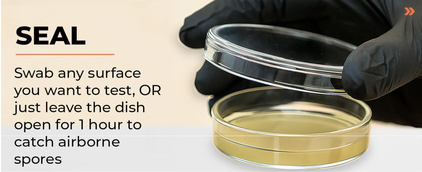 Mold Test Kit – Test 10 Different Areas, Swab Sample and Air Sample, Easy-to-Use Guide,-Testing