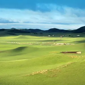 background preload poster image 