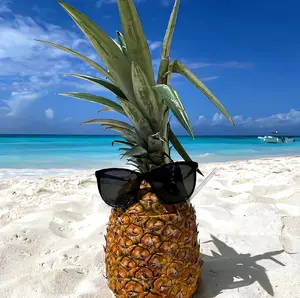 background preload poster image 