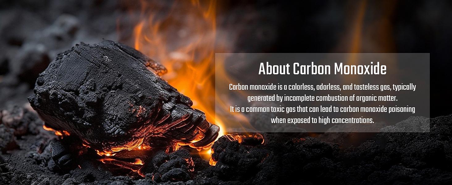 TopTes CT-300 Portable Carbon Monoxide Detector,(Includes Battery x3) CO Detector with Audible & Visual Alarm,0-5000PPM,for Home, Car, Camping& Travel