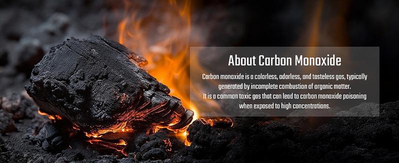 TopTes CT-300 Portable Carbon Monoxide Detector,(Includes Battery x3) CO Detector with Audible & Visual Alarm,0-5000PPM,for Home, Car, Camping& Travel