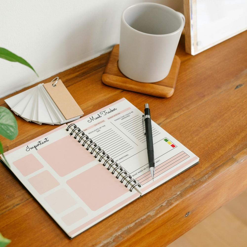 Mental Health Journal - DBT Therapy Worksheets for Anxiety & Depression Relief, Mood Tracker, Gratitude Log & Self-Care Planner