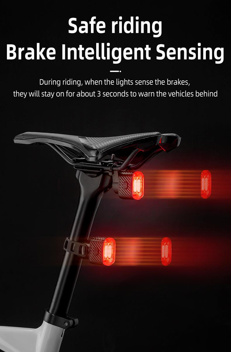 ROCKBROS Bicycle IPX6 Waterproof Taillight Type-C Rechargable Light Smart Auto Brake Sensing LED Rear light Q2S Bike Accessories