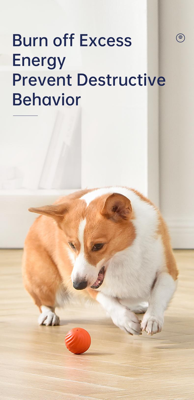 TikTokShopBlackFriday, Petgravity Interactive Dog Toys Dog Bouncing Ball, Dog Jumping Ball, Motion Activated Automatic Bouncing Ball Toys for Small/Medium Dogs, USB Rechargeable Pet Toys