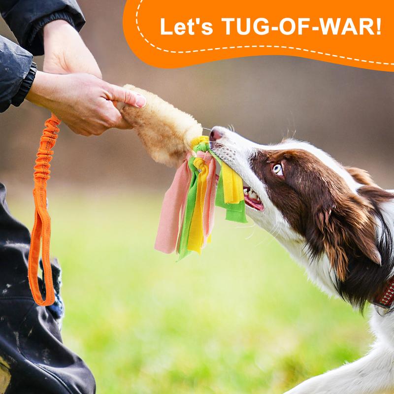 Pawaboo Pet Gifts Plush Toy for Dogs, Interactive Dog Chew Toy with Elastic Handle to Play, Soft Polar Fleece No Stuffing Puppy Toys for Small Dogs, Stimulating Pet Toys for Puppies with Colorful Strips