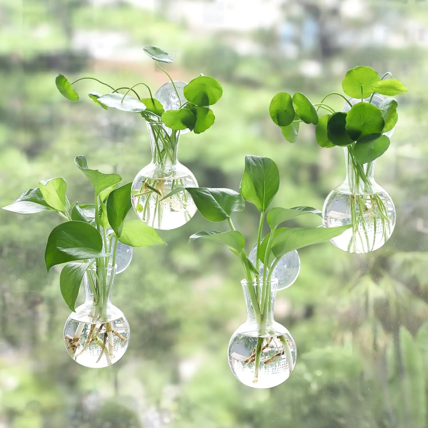4 pcs Window Propagation Stations, Easy to Install Plant Propagation Bulbs with Suckion Cups, No Nails Wall Hanging Planter Propagation Station, Glass Plant Terrarium Vase