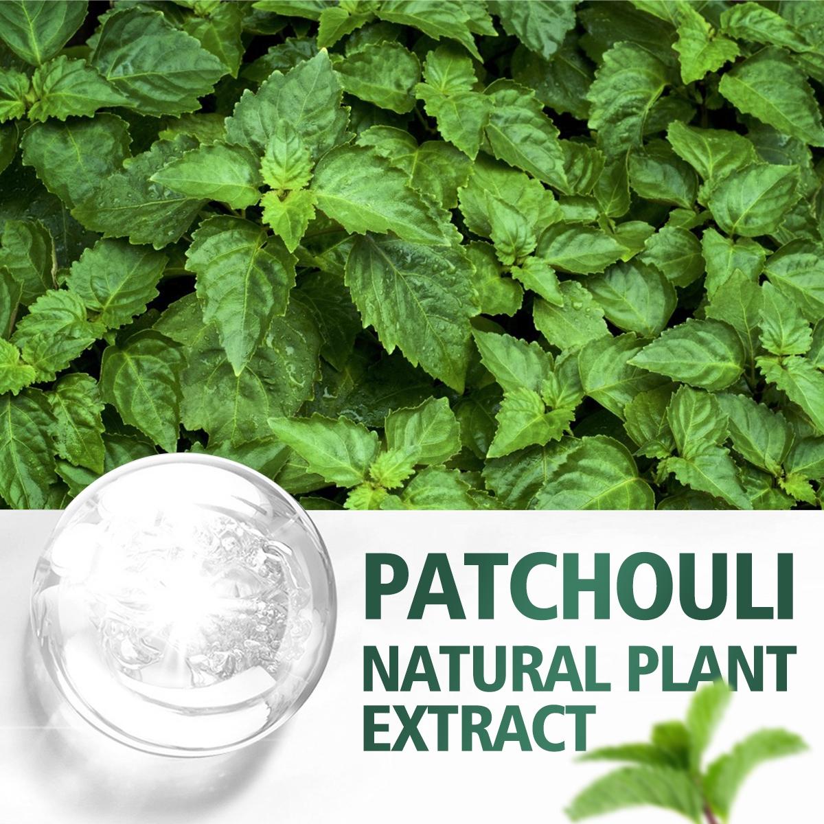 1pc 30ML Patchouli Essential Oil Aromatherapy Therapeutic Wellness for Diffusers, Humidifiers, Home, Living Room, Bedroom, Bathroom, Air Freshener, Stress Relief