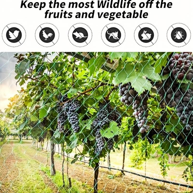 Garden Plant Protection Net, Bird and Animal Barrier, Fruit Trees, Vegetables, Flowers, Vine Climbing, Poultry Fence, Fish Pond Guard