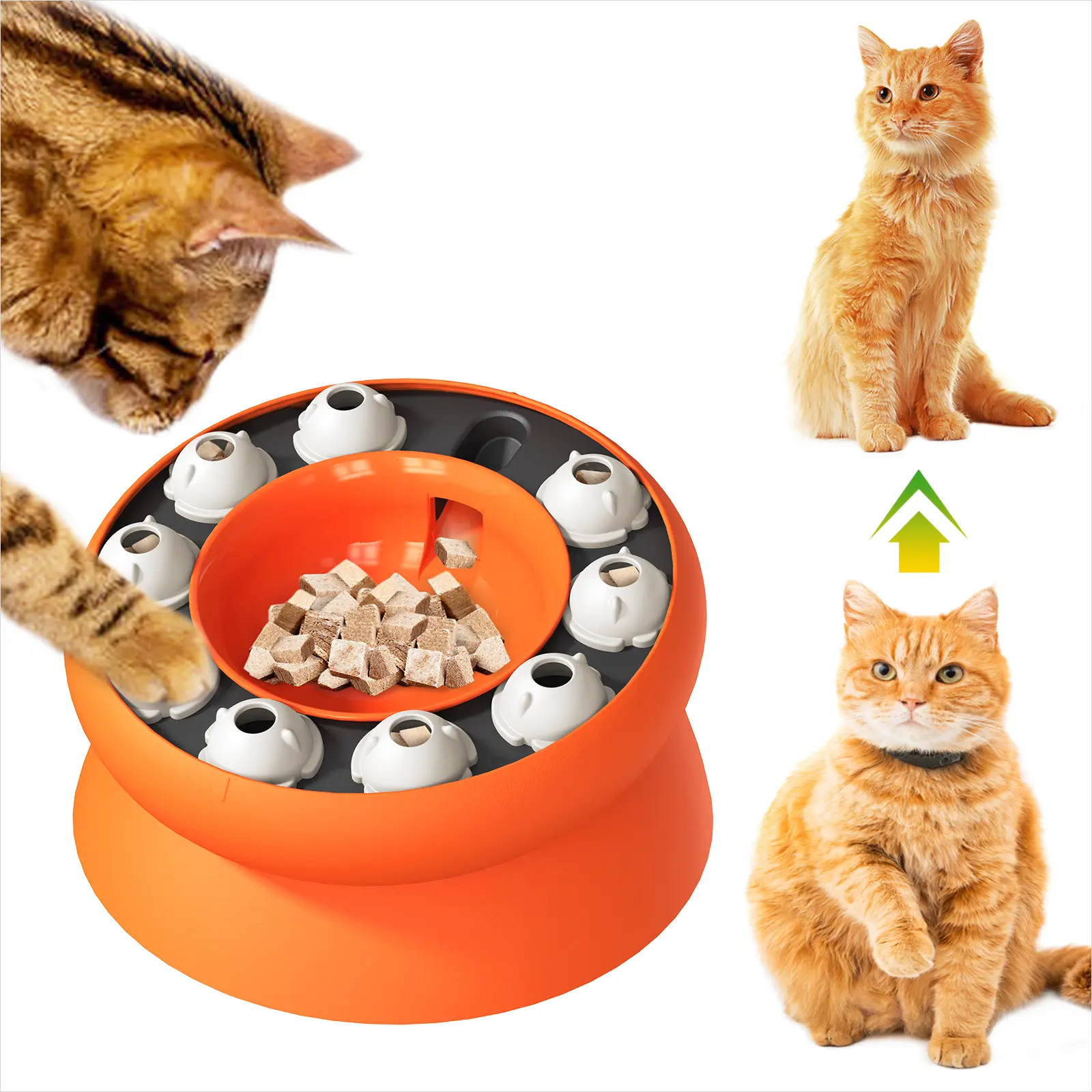 Dudpud Weight Loss Bowl Puzzle Cat Toy