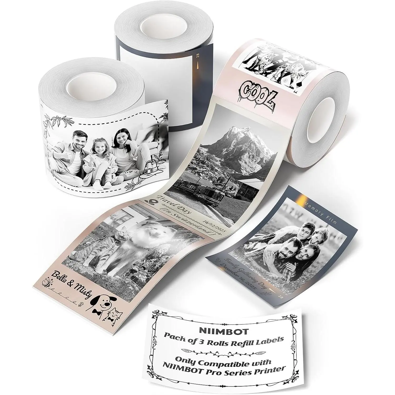 3 Roll Labels Only for B1 Pro/B2 Pro/B21 Pro Label Maker, Grayscale and Red & Black Label Paper Set for Business/Handmade/House/School/Office