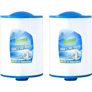 6CH-940  Filter  Replaces for PWW50P3(1 1/2" Coarse Thread), 817-0050, Filbur FC-0359, 25252, 03FIL1400, aterway Front Access Skimmer, Screw in SAE Thread Filter, 2 Pack