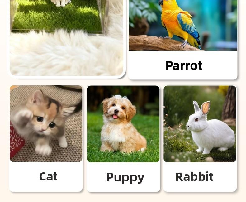 Pet 3D Hologram Projection Box AI Companion Memorial Keepsake For Dogs Cats Heated Outdoor Dog House with Heating Pad human sized bed cat tree Breathable Elevated Cooling Curved Foam Stairs Ramp Gothic Coffin Wheeled Wooden Crate Soft Foldable Cushion