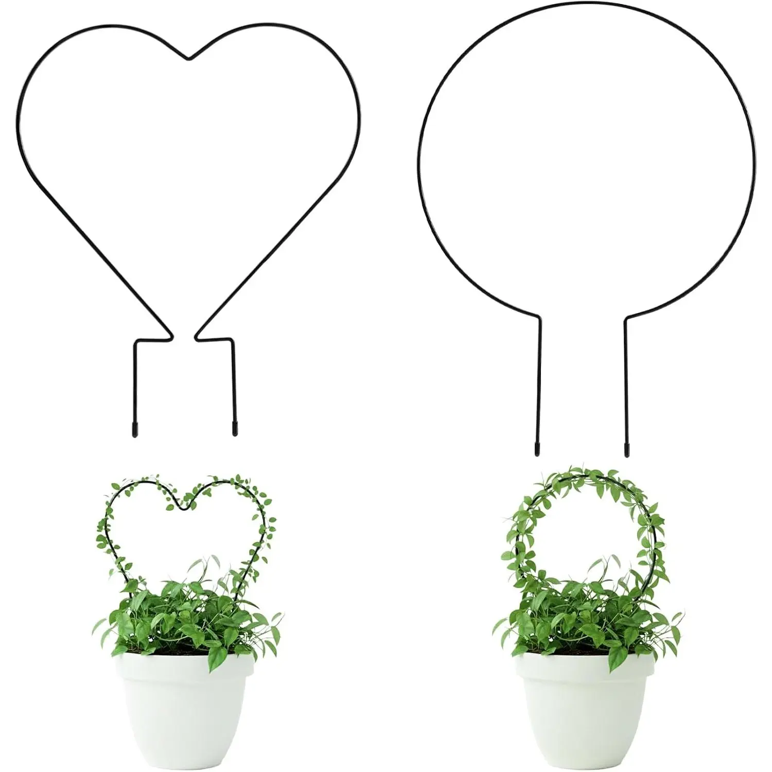 Trellis for Potted , Small House  Support, Indoor  Trellis for Climbing  (Circle and Heart Shape)