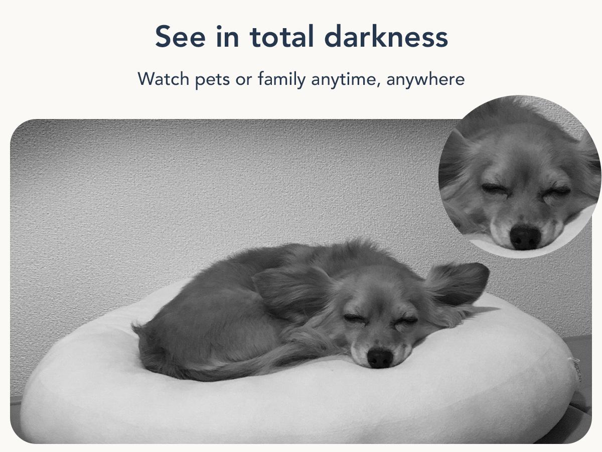 GNCC Indoor Security Camera with 2.4G WiFi, Full HD 1080P, AI Motion Detection, Sound Alert, 2-Way Audio, Night Vision, Cloud & SD Card Storage – Works with Alexa, Google Home for Home Surveillance, Baby/Pet Monitor