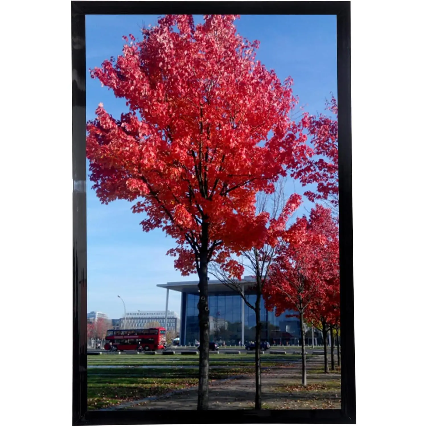 11x17 Picture Frame for Studio, Gallery, School and College Signs, 1 PackGift