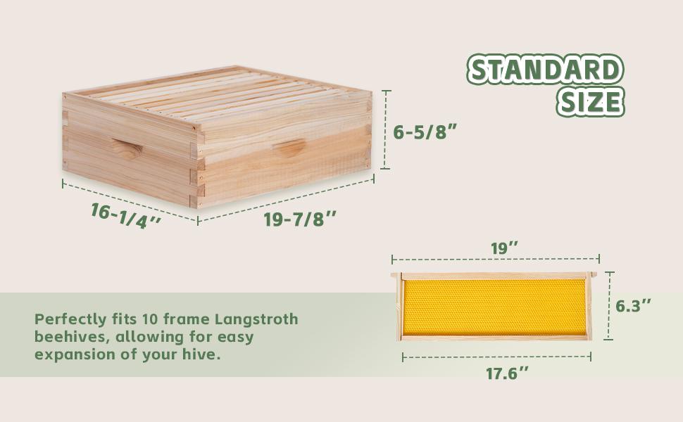 10 Frame Medium Beehive Box,Langstoth Honey Bee Hive Box, Include Beehive Frames and Waxed Foundations