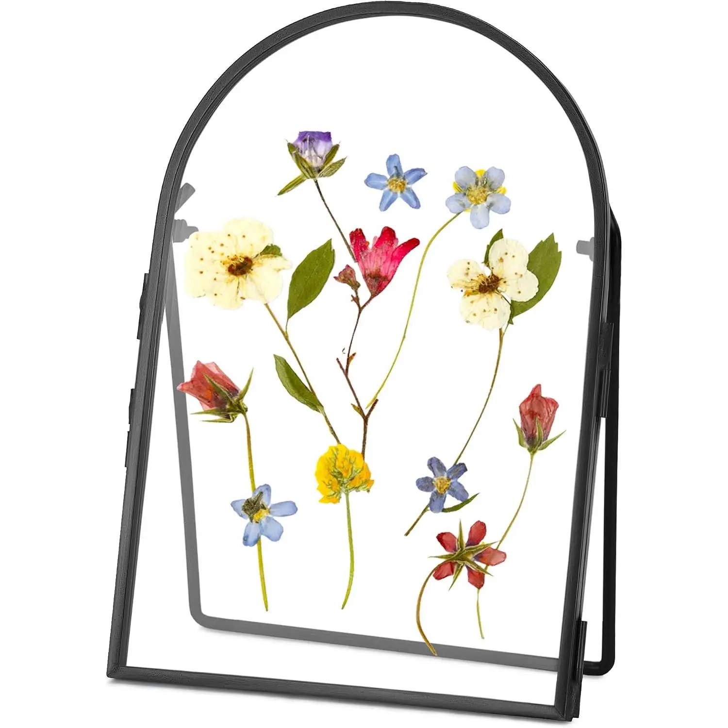 Double Glass Frame for Pressed  , Metal Floating Picture Frame for Pressed Flower, Tabletop Display, Brass, ArcShaped, Black, 4x6 inches (FRAME ONLY)