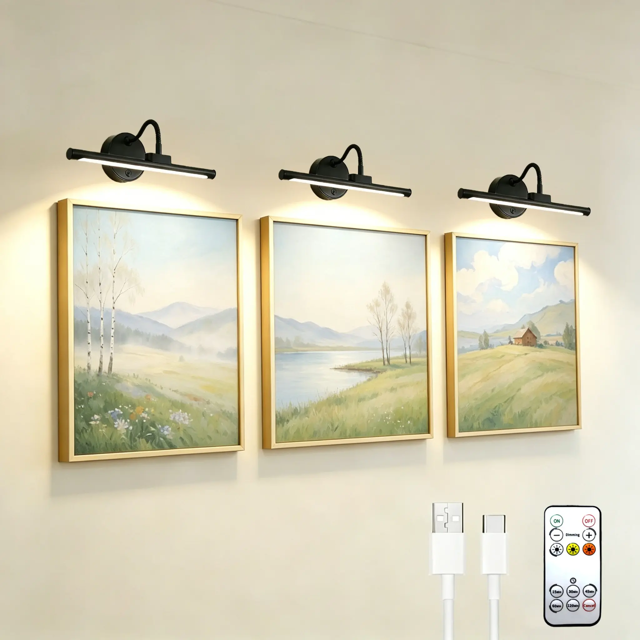 3-Pack 13-Inch Rechargeable Wireless IR Remote LED Art Display Lights, Adjustable Color Temperature, Ideal for Gallery & Living Room