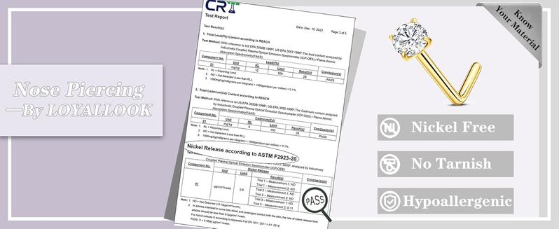 LOYALLOOK 18counts Nose Rings Studs - 316L Surgical Steel Nose Studs Double Hoop Nose Ring for Women Men 18G/20G Nose Rings Stud Hypoallergenic Nose/Body Piercing Jewelry 1.5mm 2mm 2.5mm 3mm Clear CZ Cute