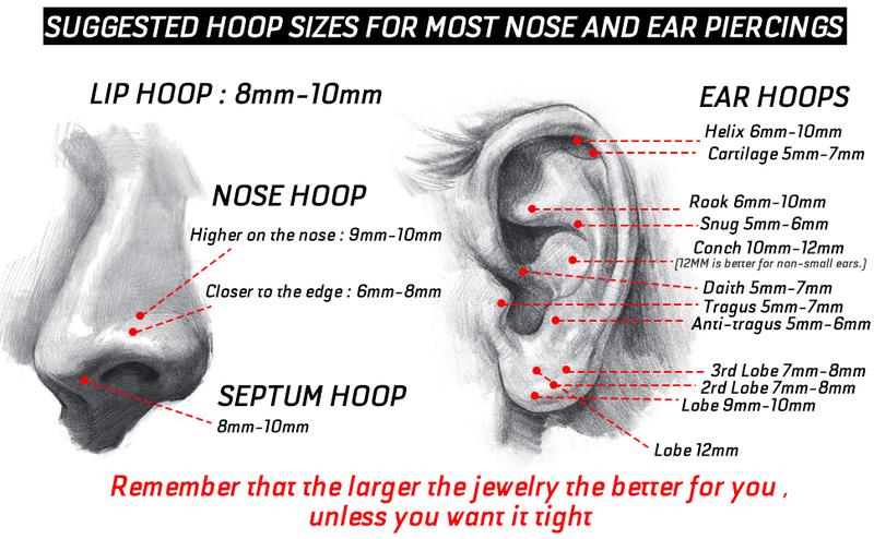 LOYALLOOK 8counts G23 Titanium Hinged Clicker Segment Nose Rings Hoop Septum Nose Lip Ring Hoop for Women Men Helix Cartilage Daith Tragus Sleeper Earrings Body Piercing Improved 16G Jewelry