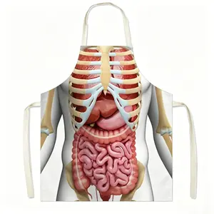 Human Anatomy Ribs Internal Organ Print Kitchen Apron, Waterproof Oilproof, Adjustable Neck Strap, Fun Gift for Medical Students, Nurses, Halloween Prank.1pc