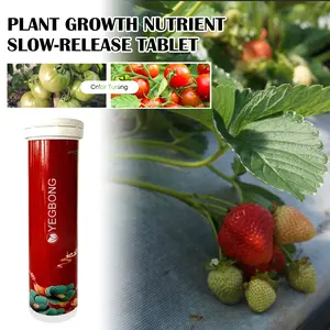 Yegbong Plant Growth Nutrient Slow-release Tablets Universal Nutrient Tablets for Root Growth in Fruit, Vegetable, and Potted Plants